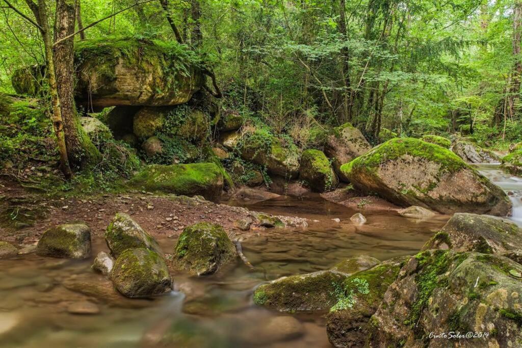 La Badenca. Masia Catalana Del S. XVII Riudaura Exteriér fotografie
